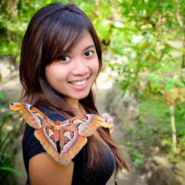 Aktivitas Seru Liburan di Tabanan Aktivitas Seru Liburan di Tabanan