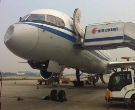 Kenapa Pilot Pesawat Terbang Takut Dengan Burung? Atau Kenapa Pilot Pesawat Terbang Takut Dengan Burung? Atau