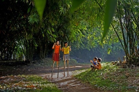Masyarakat Indonesia Dan Pohon Bambu Yang Tak Terpisahkan Masyarakat Indonesia Dan Pohon Bambu Yang Tak Terpisahkan