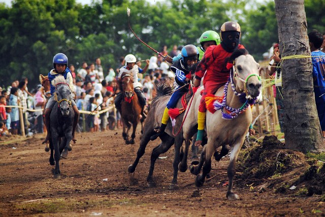 Fakta Unik Joki Cilik Pacuan Kuda Tradisional Indonesia