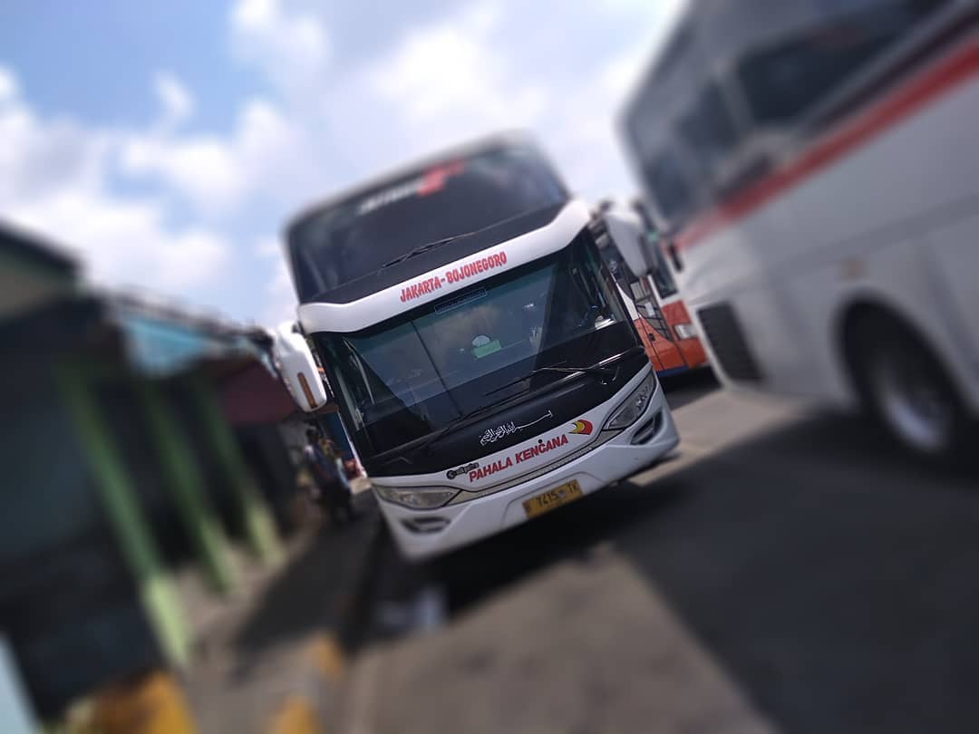 Info Rute Harga Tiket Bus Pahala Kencana Online Info Rute Harga Tiket Bus Pahala Kencana Online