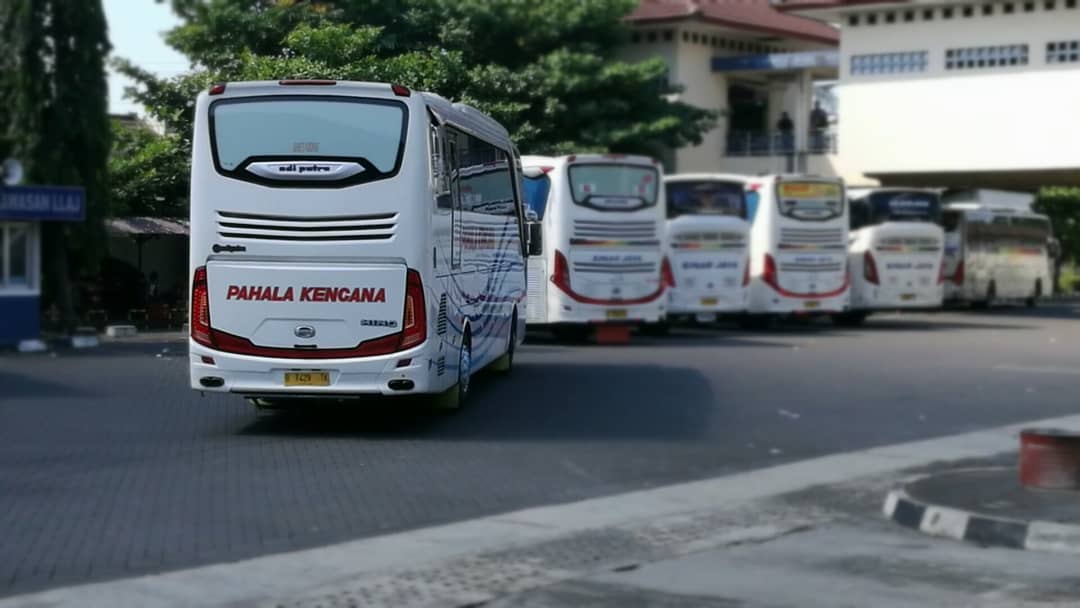 Info Rute Harga Tiket Bus Pahala Kencana Online Info Rute Harga Tiket Bus Pahala Kencana Online