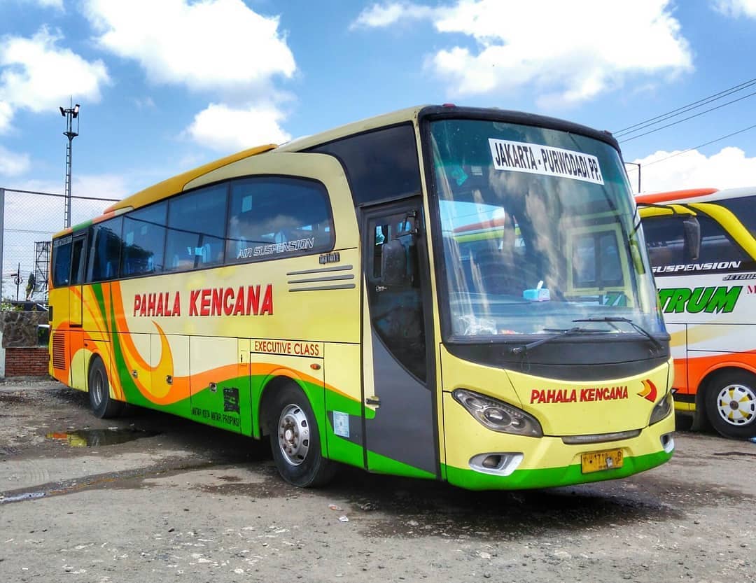 Info Rute Harga Tiket Bus Pahala Kencana Online Info Rute Harga Tiket Bus Pahala Kencana Online