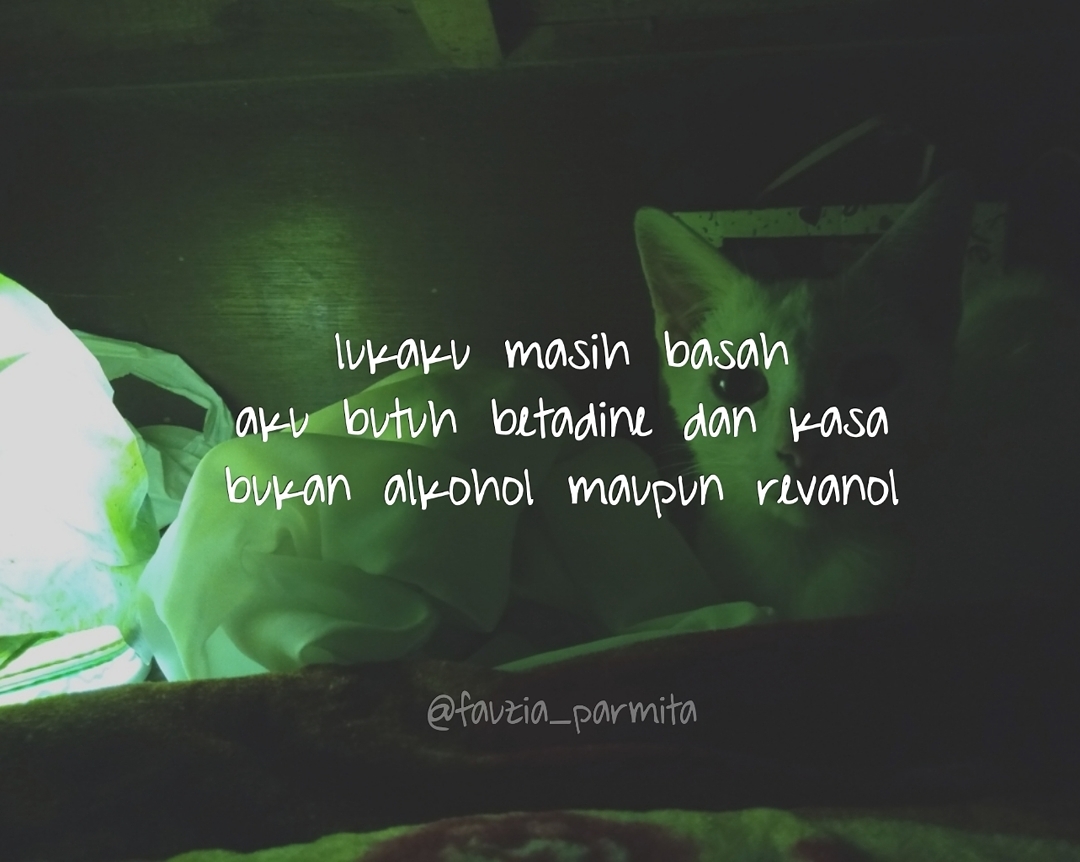 Inspirasi Kata Kata Lucu Malam Minggu Untuk Jomblo Single Dan Yang Baru Saja Patah Hati Gaes! Inspirasi Kata Kata Lucu Malam Minggu Untuk Jomblo Single Dan Yang Baru Saja Patah Hati Gaes!