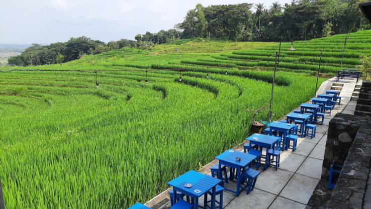 Kopi Ampirono Sensasi Ngopi di Pedesaan Kulon Progo