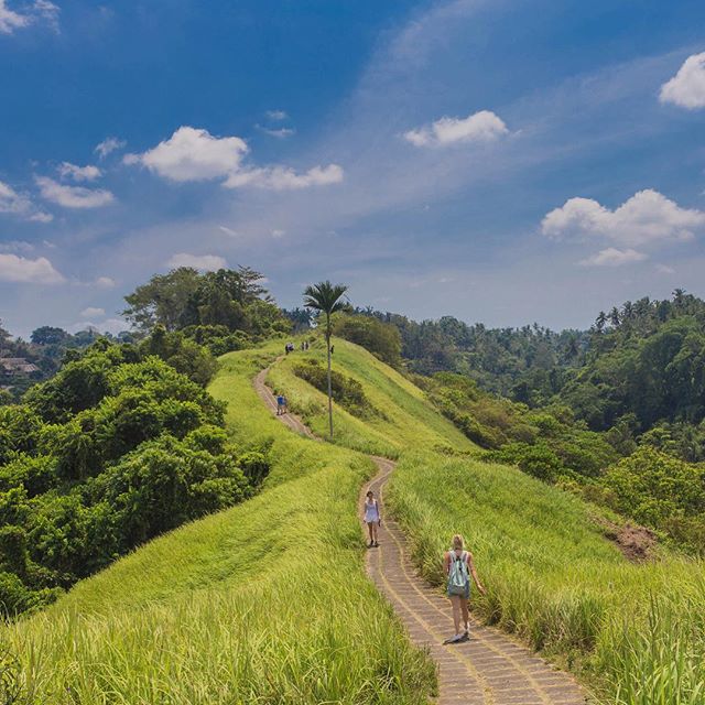 Jelajah Keindahan Ubud dengan Aktivitas Menarik Ini