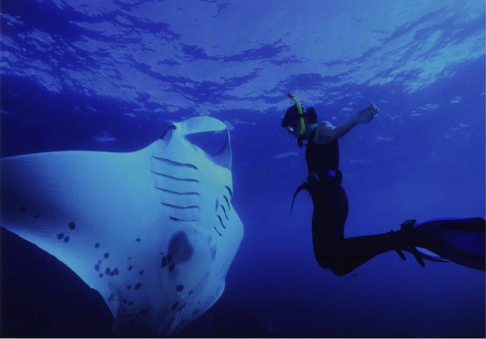 7 Wisata Adventure Super Seru di Pulau Derawan! 7 Wisata Adventure Super Seru di Pulau Derawan!