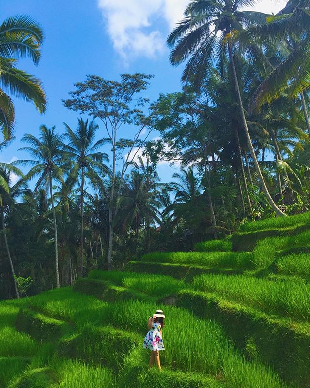 Jelajah Keindahan Ubud dengan Aktivitas Menarik Ini