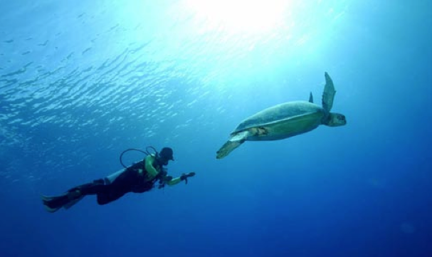 7 Wisata Adventure Super Seru di Pulau Derawan! 7 Wisata Adventure Super Seru di Pulau Derawan!