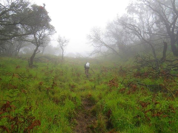 Mengapa Pendaki Bisa Tersesat di Gunung Arjuna dan Welirang? Mengapa Pendaki Bisa Tersesat di Gunung Arjuna dan Welirang?